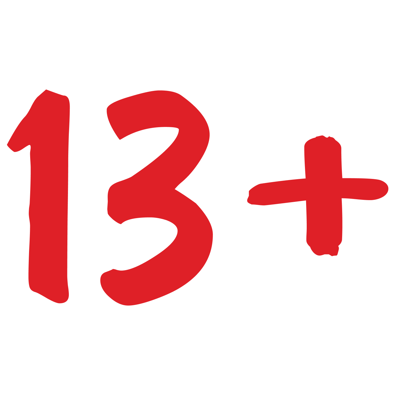 более 13 лет на рынке